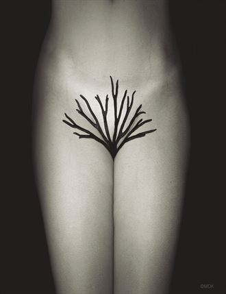 'poetic delta' Artistic Nude Photo by Photographer Mandrake Zp %7C MDK